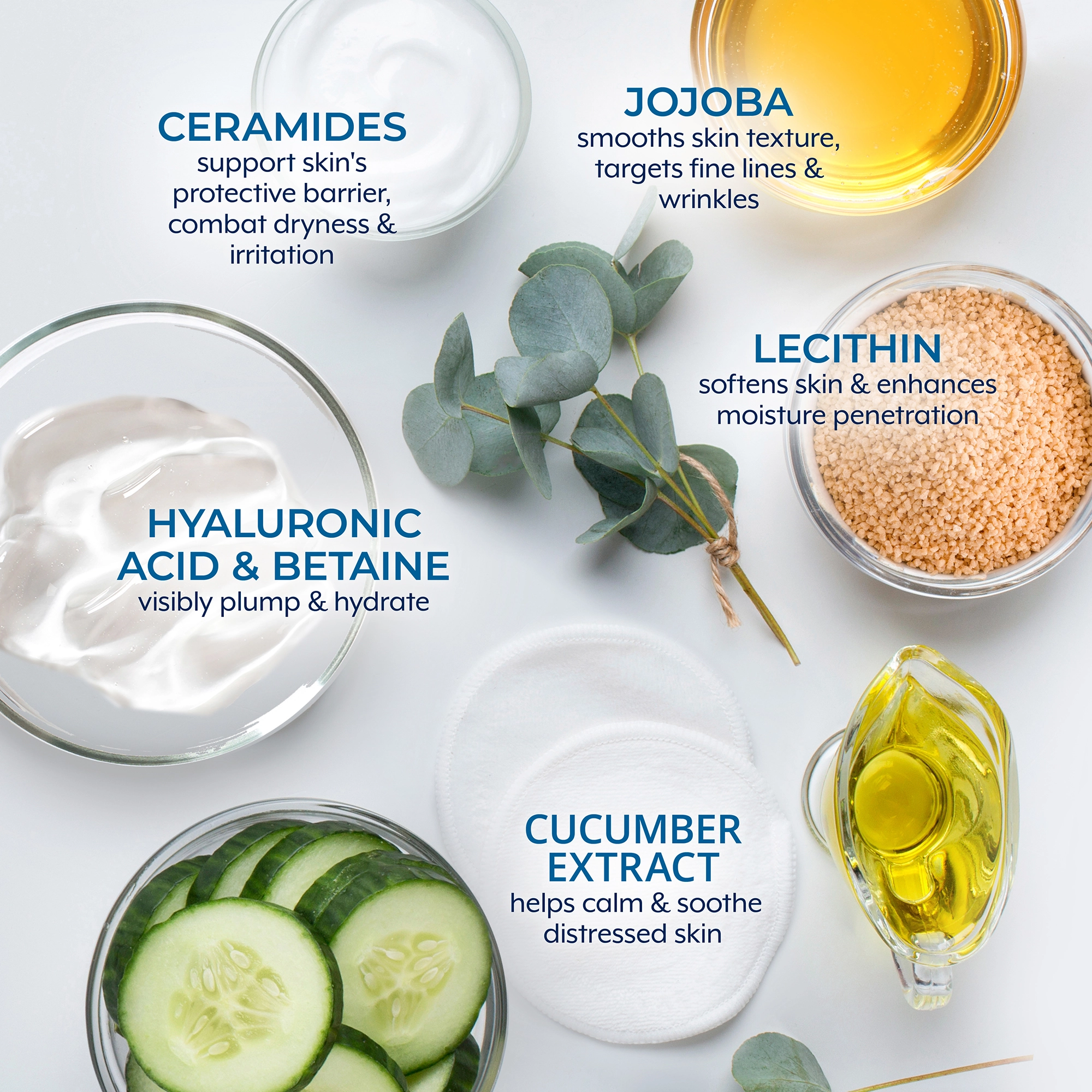 Plex-Perfect Daily Moisturizer ingredients