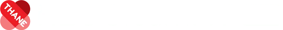 H2O SteamFX™ Pro