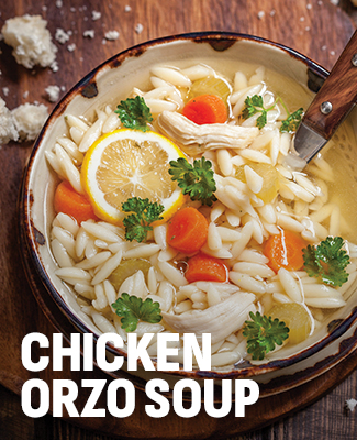 chicken orzo soup