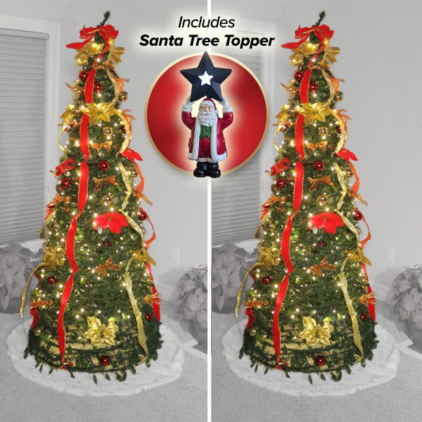 2 pack with tree toper