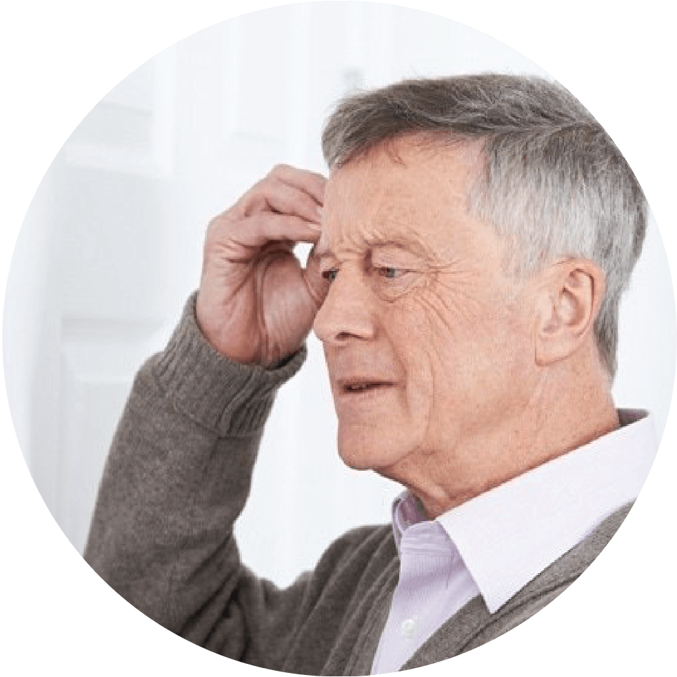 Cerbella Enhance Mental Clarity