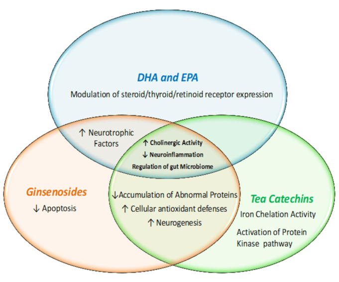Cerbella - Brain Health Supplement - Science