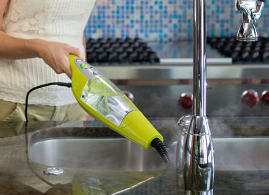 Handheld Steamer
