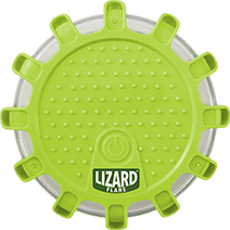 Lizard Flare