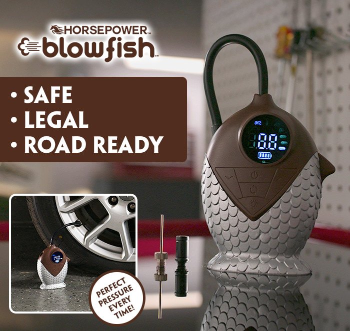 Horsepower Blowfish - safe, legal and road ready
