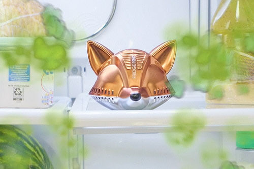 fox eliminating stink