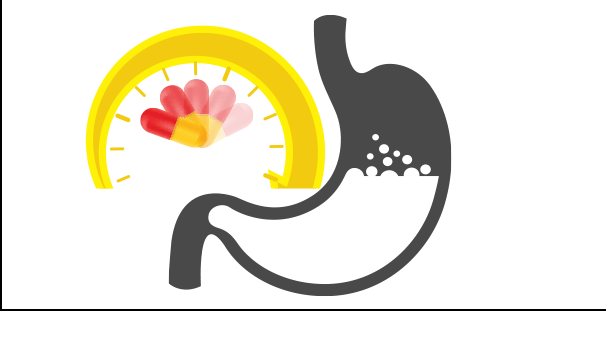 stomach