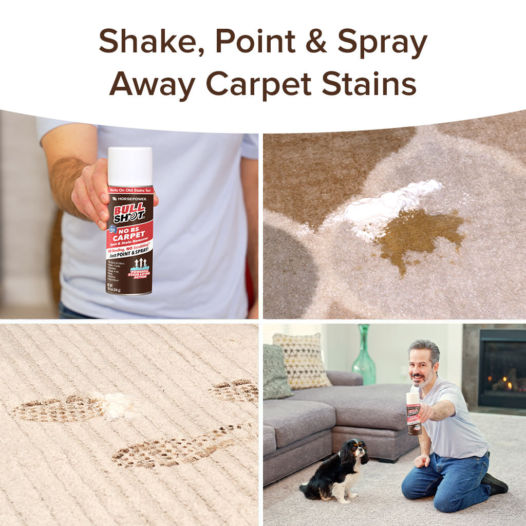Shake, point & spray away carpet stains