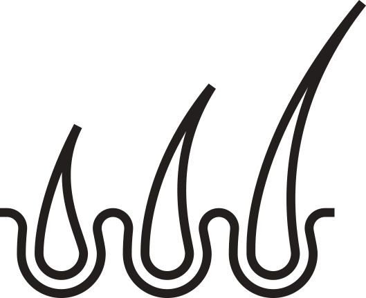 Hair folicle icon
