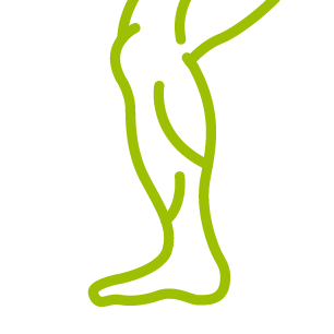 Arrives Almost Completely Assembled