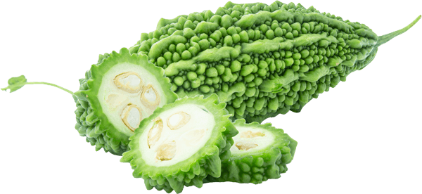 Bitter melon