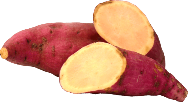 Sweet Potato