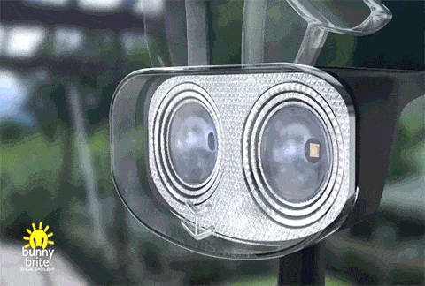 demonstration of bunny brite