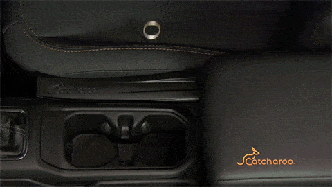 demonstration of Catcharoo in action