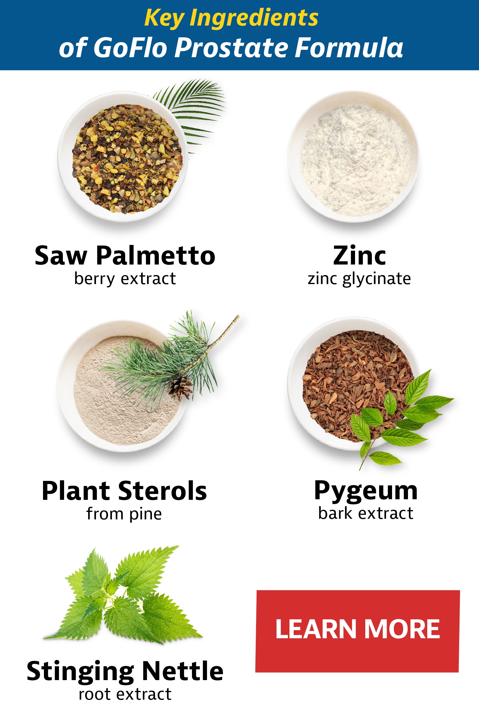 key ingredients for Go Flo Prostate formula
