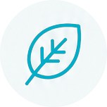 leaf icon