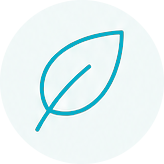 leaf icon