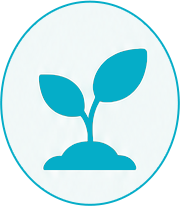 Leaf icon