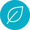 leaf icon