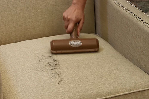 fur fury on chair