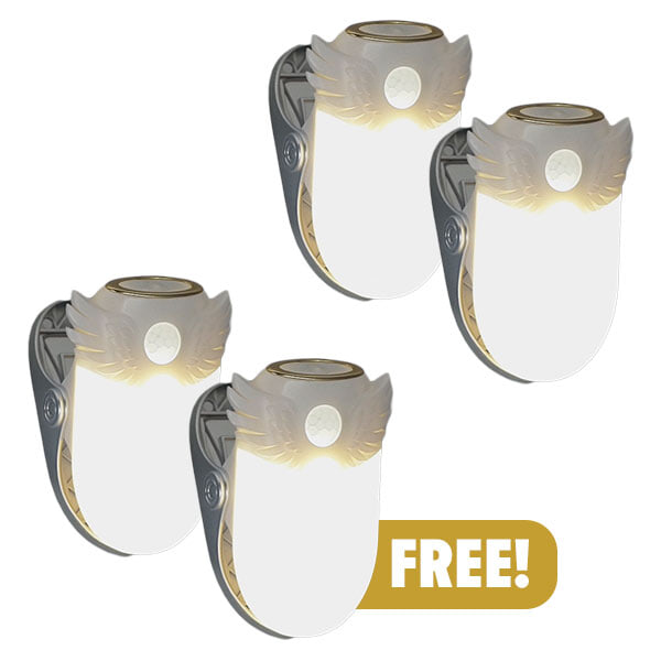 Buy two Get two free