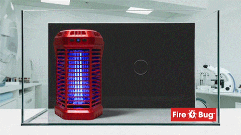 fire bug in action