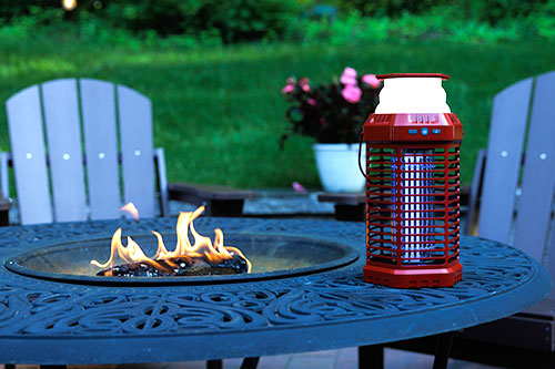 fire bug on table