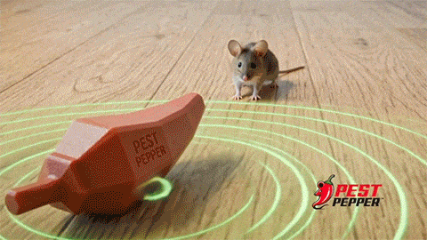 demonstration of Pest Pepper in action