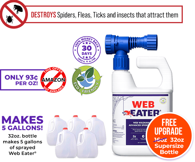 Makes 5 Gallons! 32oz. bottle makes 5 gallons of sprayed Web Eater™