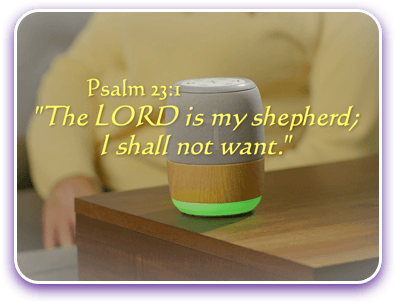 The LORD is my shepard; I shall not want. Psalm 23:1