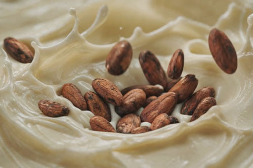 cocoa beans in cream