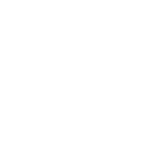 100% money back 30 days guarantee
